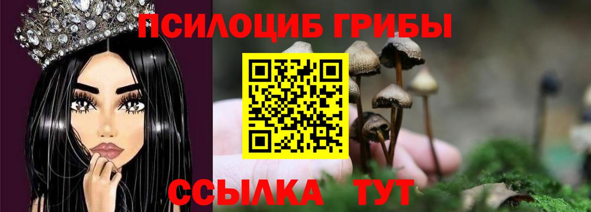 Муравленко  как найти наркотики  Вход с VPN  Псилоцибиновые грибы MAGIC MUSHROOMS  Псилоцибиновые грибы Cubensis 